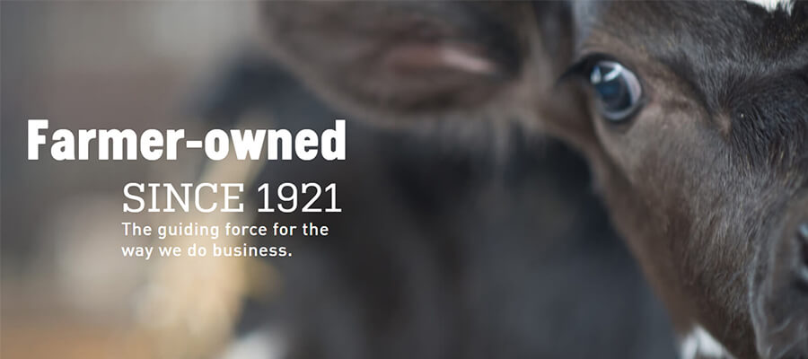Land O'Lakes Farmer-Owned since 1921. The guiding force for the way we do business.