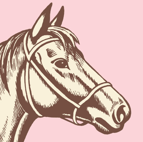 Horse Head With Pink Background