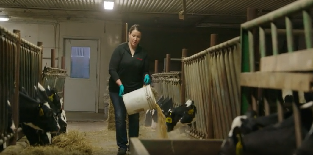 Tara Meyer Feeding Dairy Cows