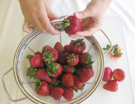 1strawberryhull-copy 1strawberryhull-copy