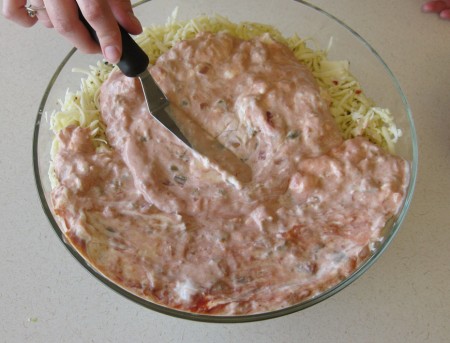 spread-salsa-mixture1
