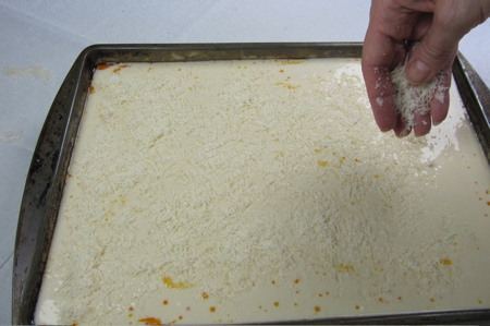 sprinkle-parmesan