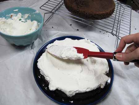 19r-whipped-cream-on-fudge