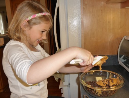 Chocolate coating ingredients