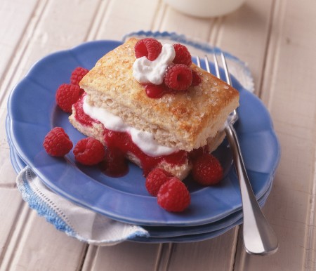 12245_00 Raspberry Shortcake 12245_00