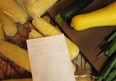 fresh, corn, corn on the cob