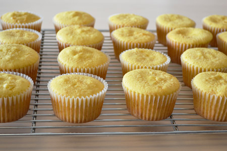 Cool Cupcakes