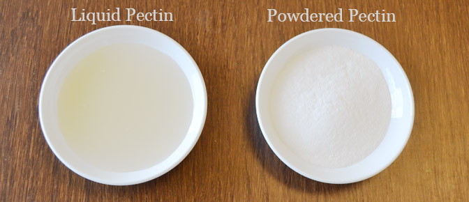 Pectin Examples