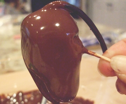 Mouse Dipped in Chocolate