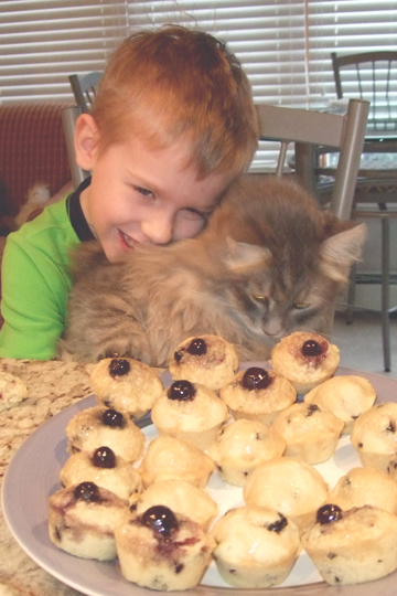 Boy Hugs Kitten