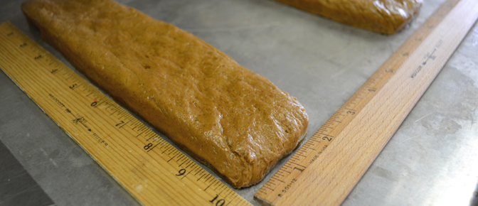 Measuring Dough Logs