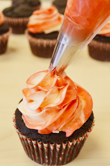 Cupcake with Swirl Frosting