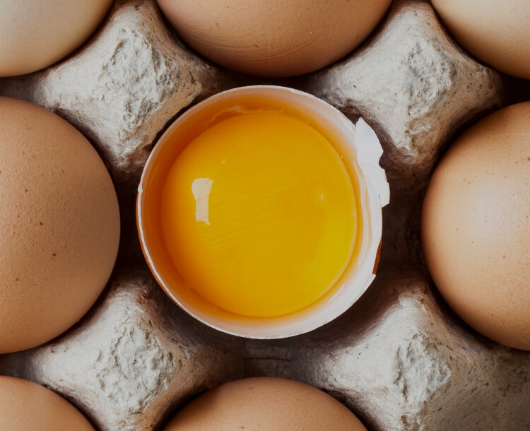 Eggs Farm Fresh Eggs Land O'Lakes