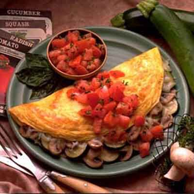 Garden Grill Omelet