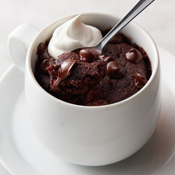 Dark Chocolate Mug Cake Recipe | Land O'Lakes