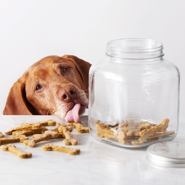 Image result for dog treats